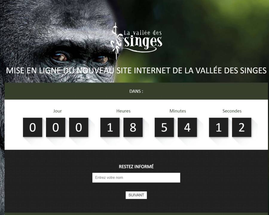 Nouveau site internet de la Vallée des Singes