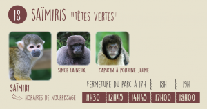 Territoire 18 zoo de la vallée des singes proche du futuroscope Poitiers Vienne 86