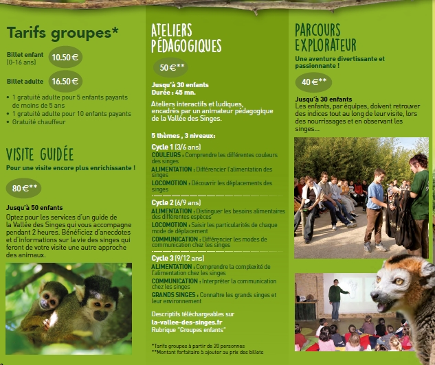 Groupes Enfants Et Adultes Parc Animalier La Vallee Des Singes