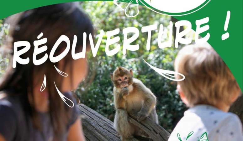 Vallée des Singes - Réouverture 2021